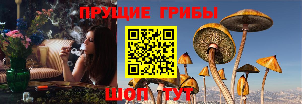 Галлюциногенные грибы мухоморы Карпинск